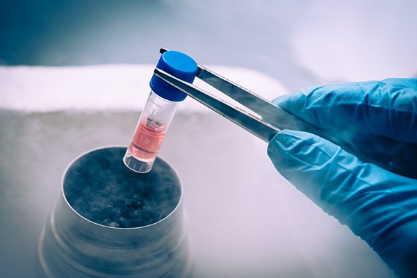 Fertility Preservation