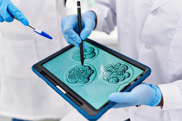 Fertility Testing & Diagnosis