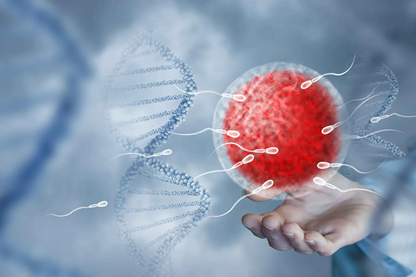 Male Infertility