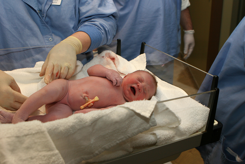 Normal & Cesarean Delivery